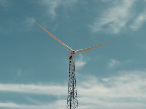 Nike Free 2024 Preview: Innovations & Sustainability in Focus